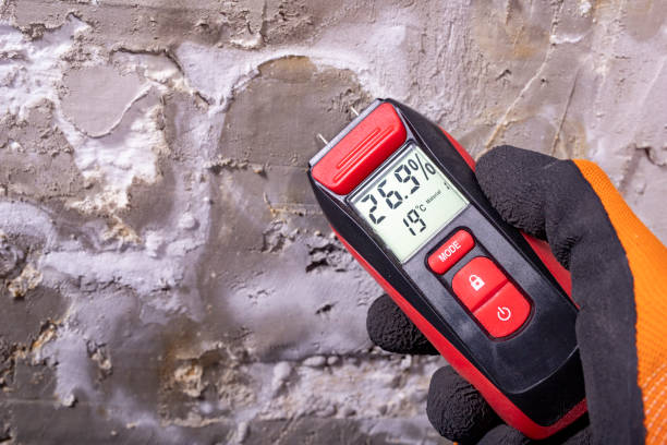 Best Black Mold Removal  in Indian Hills, KY