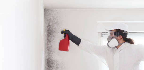 Best Crawl Space Mold Removal  in Indian Hills, KY